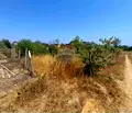 Снимка 2 — Парцел във Варна, Галата