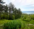 Снимка 4 — Парцел във Варна, м-т Акчелар