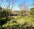 Снимка 3 — Парцел във Варна, м-т Боровец - север