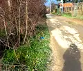 Снимка 2 — Парцел във Варна, м-т Манастирски рид