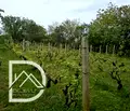 Снимка 4 — Парцел във Варна, м-т Ментешето
