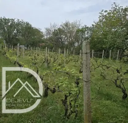 Photo 4 — Plot in Varna, Mentesheto
