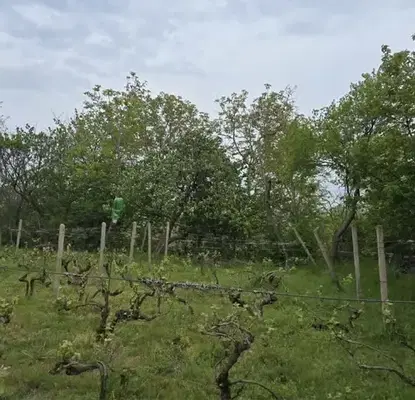 Photo 5 — Plot in Varna, Mentesheto