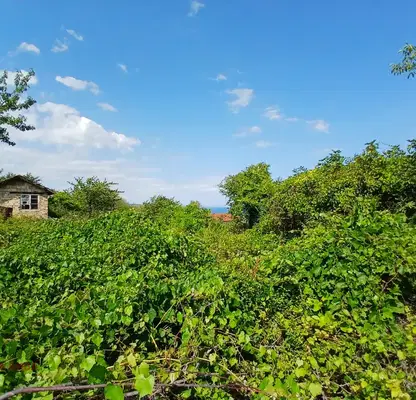Photo 3 — Plot in Varna, Priboi