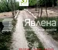 Снимка 2 — Парцел във Варна, м-т Прибой