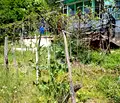 Снимка 4 — Парцел във Варна, м-т Сълзица