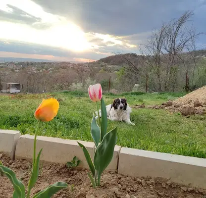 Photo 2 — Plot in Varna, Sylzica