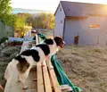 Снимка 3 — Парцел във Варна, м-т Сълзица