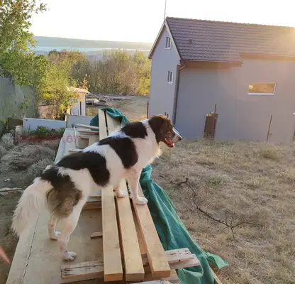 Photo 3 — Plot in Varna, Sylzica