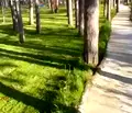 Снимка 2 — Парцел във Варна, м-т Телевизионна кула