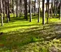 Снимка 4 — Парцел във Варна, м-т Телевизионна кула