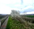 Снимка 2 — Парцел във Варна, Западна промишлена зона