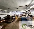 Снимка 5 — Промишлена сграда в Благоев, Еленово 1