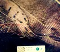 Снимка 2 — Земеделски имот в Пловдив, Асенов