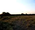 Снимка 3 — Земеделски имот в Бургас, Царево