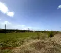 Снимка 3 — Земеделски имот в Перник, Перник