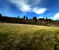 Снимка 2 — Земеделски имот в Благоевград, Разлог
