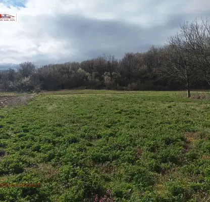 Photo 2 — Agricultural Land in Oblast Kyustendil, Barakovo