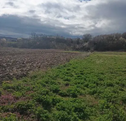 Photo 3 — Agricultural Land in Oblast Kyustendil, Barakovo