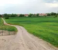 Снимка 4 — Земеделски имот в Пловдив, с. Царацово