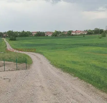 Снимка 4 — Нива в Пловдив, с. Царацово