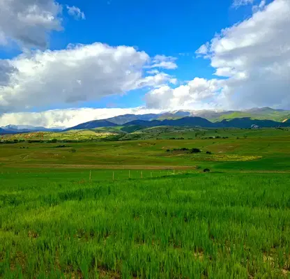 Photo 2 — Agricultural Land in Oblast Blagoevgrad, Djigurovo