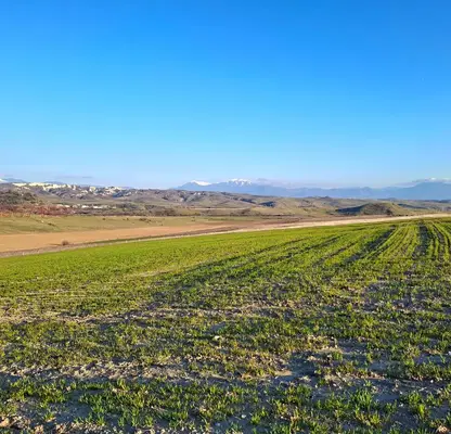 Photo 5 — Agricultural Land in Oblast Blagoevgrad, Djigurovo