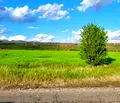 Снимка 5 — Земеделски имот в София, с. Доброславци