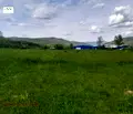Снимка 4 — Земеделски имот в Ловеч, с. Калейца
