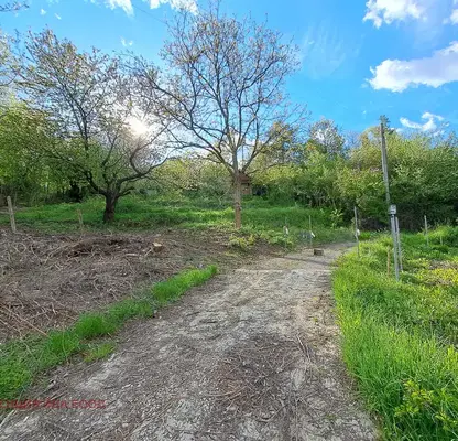Photo 2 — Agricultural Land in област София, Kokalyane