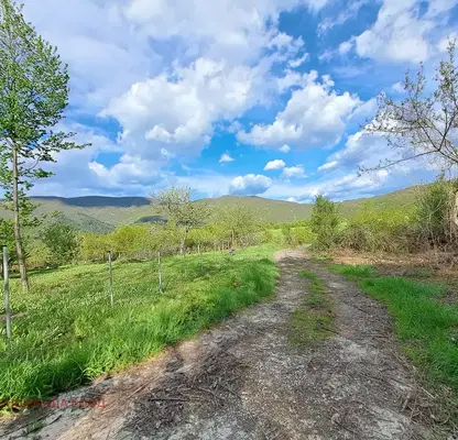 Photo 3 — Agricultural Land in област София, Kokalyane