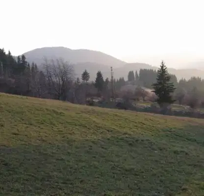 Photo 2 — Agricultural Land in Oblast Smolyan, Momchilovci