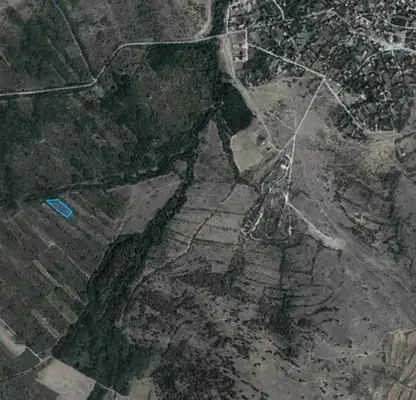 Photo 2 — Agricultural Land in Oblast Pazardjik, Pamidovo