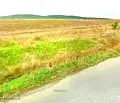 Снимка 2 — Земеделски имот в Бургас, с. Росен