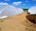 Снимка 4 — Земеделски имот в Търговище, с. Руец