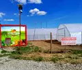 Снимка 5 — Земеделски имот в Търговище, с. Руец