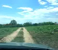 Снимка 3 — Земеделски имот във Варна, с. Здравец