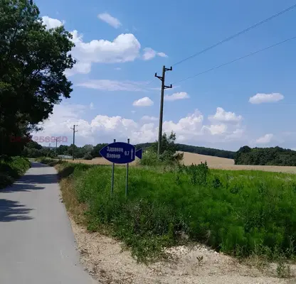 Photo 3 — Agricultural Land in Oblast Varna, Zdravec