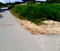 Снимка 4 — Земеделски имот във Варна, с. Здравец