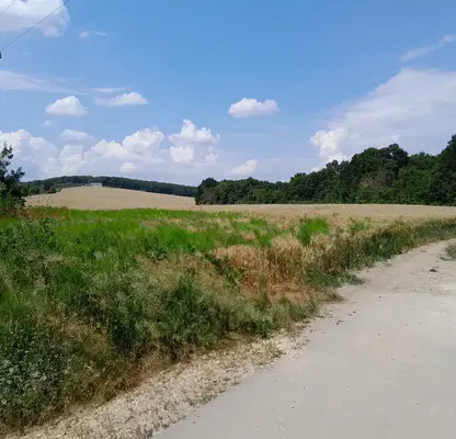Photo 5 — Agricultural Land in Oblast Varna, Zdravec
