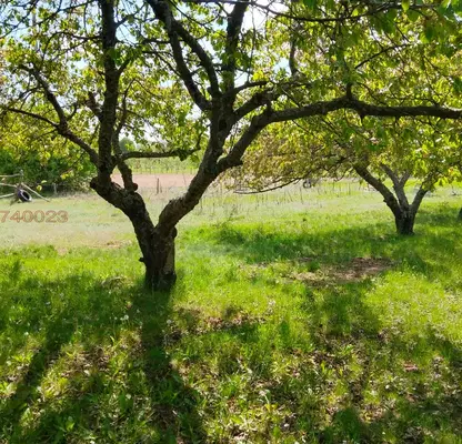 Photo 3 — Agricultural Land in Oblast Kyustendil, Sapareva Banya