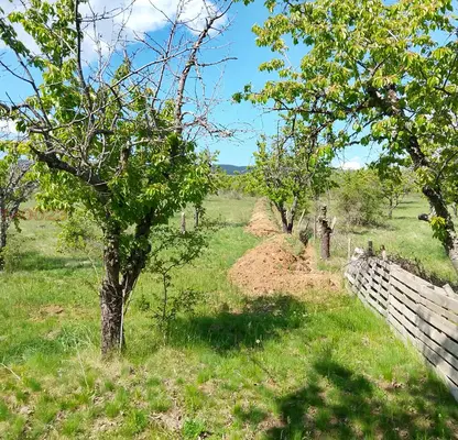 Photo 4 — Agricultural Land in Oblast Kyustendil, Sapareva Banya