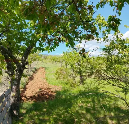 Photo 5 — Agricultural Land in Oblast Kyustendil, Sapareva Banya