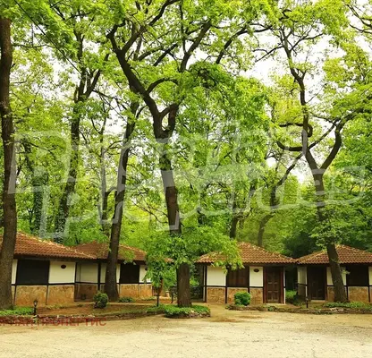 Photo 5 — Hotel in Oblast Razgrad, Kubrat