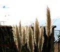 Снимка 4 — Хотел във Варна, м-т Долна Трака