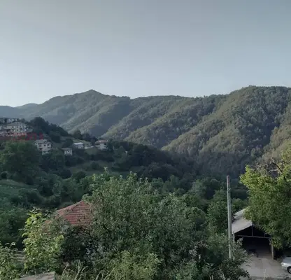Снимка 4 — Етаж от къща в Смолян, с. Митовска
