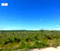Снимка 4 — Къща в Пловдив, с. Беловица