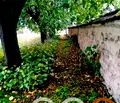 Снимка 3 — Къща във Варна, с. Царевци
