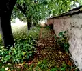 Снимка 5 — Къща във Варна, с. Царевци