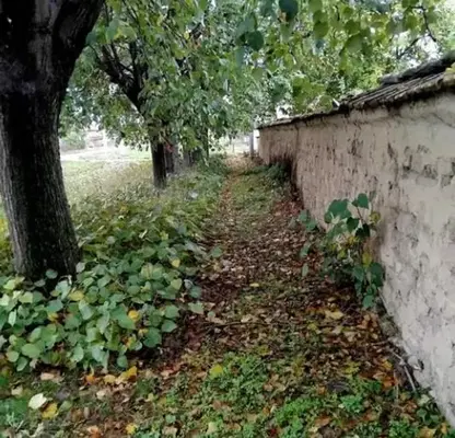 Снимка 5 — Къща във Варна, с. Царевци